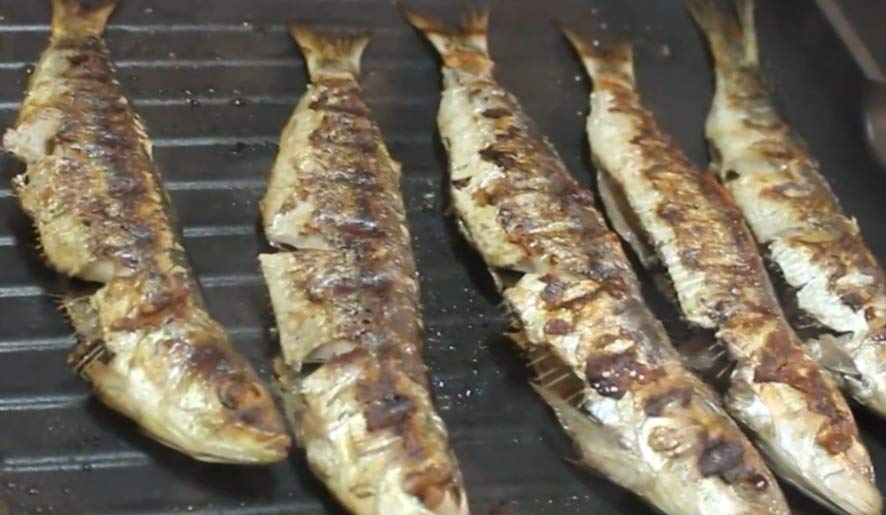 Grilled Sardines